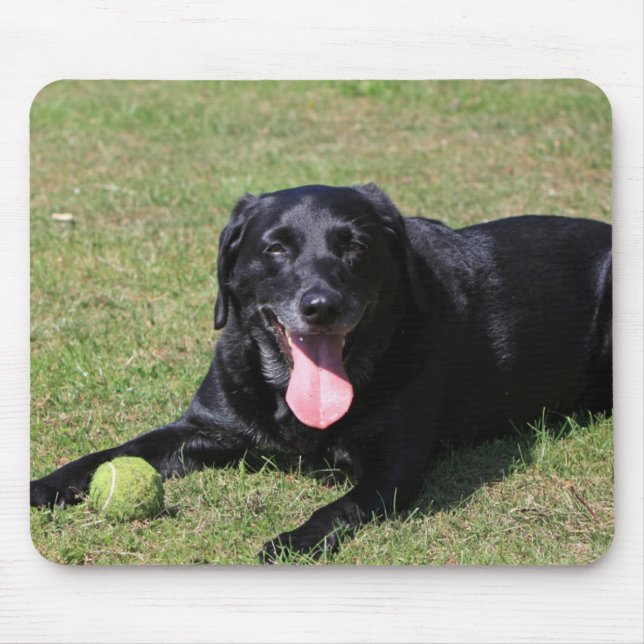 schwarzer Labrador laying.png Mousepad (Vorne)