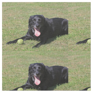 schwarzer Labrador laying.png Stoff