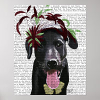 Schwarzer Labrador mit grünem Faszinator