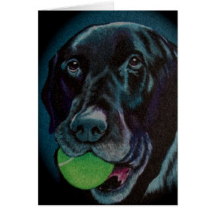 schwarzer Labrador mit Tennisball