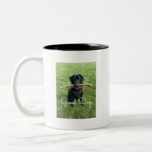Schwarzer Labrador mit zwei Stöcken verfolgen Fot Zweifarbige Tasse