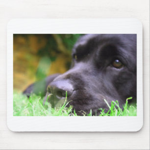schwarzer Labrador Mousepad