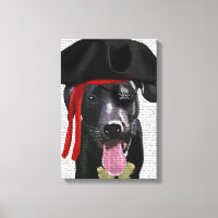 Schwarzer Labrador Pirate