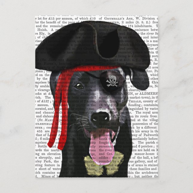 Schwarzer Labrador Pirate Postkarte (Vorderseite)