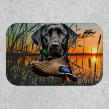 Schwarzer Labrador Retriever