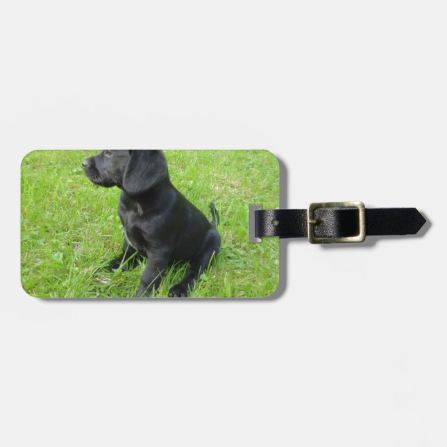 Schwarzer Labrador Retriever auf Gras Gepäckanhänger (Vorderseite horizontal)