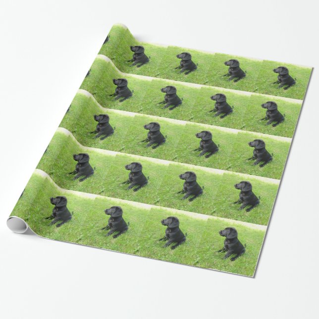 Schwarzer Labrador Retriever auf Gras Geschenkpapier (Ungerollt)