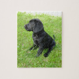 Schwarzer Labrador Retriever auf Gras Puzzle