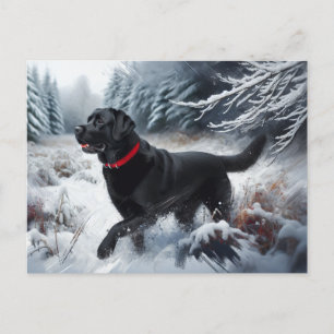 Schwarzer Labrador Retriever Hund in der Schneekar Postkarte