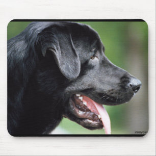 Schwarzer Labrador retriever-Hund Mousepad