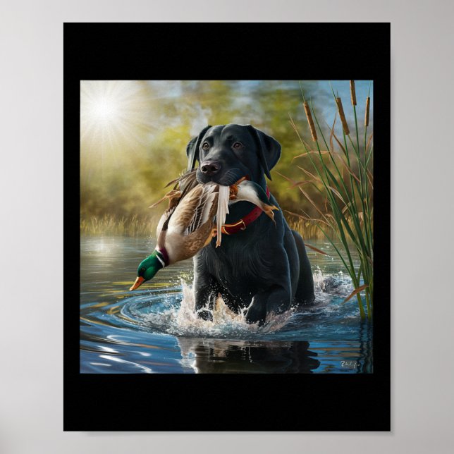 Schwarzer Labrador Retriever Hunde Jagd Enten in e Poster (Vorne)