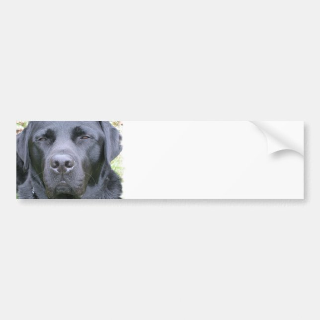 Schwarzer Labrador-Retriever-HundeAutoaufkleber Autoaufkleber (Vorne)
