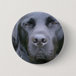 Schwarzer Labrador retriever-Hunderunder Knopf Button