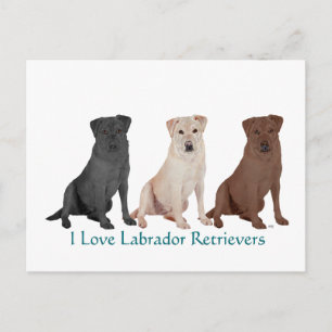 Schwarzer Labrador Retriever Matrose - Maßgeschnei Postkarte