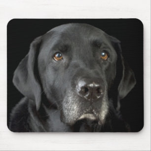 Schwarzer Labrador Retriever Mousepad