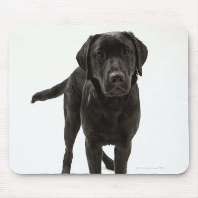 Schwarzer Labrador Retriever Mousepad (Vorne)