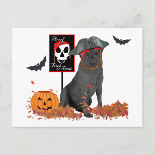 Schwarzer Labrador Retriever Pirat Postkarte