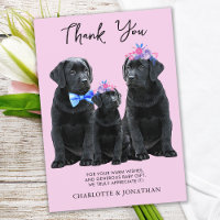 Schwarzer Labrador Retriever Puppy Dog Girl Pink