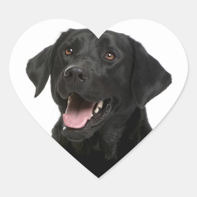 Schwarzer Labrador Retriever Puppy Hund Sticker (Vorderseite)