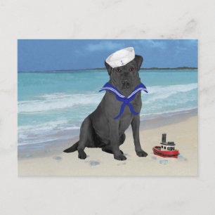 Schwarzer Labrador Retriever Seemann Postkarte