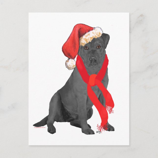 Schwarzer Labrador Retriever Weihnachten (Vorderseite)