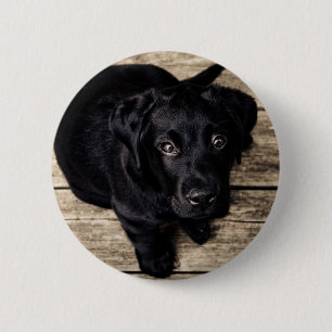 Schwarzer Labrador Retriever Welpe auf Holz Button