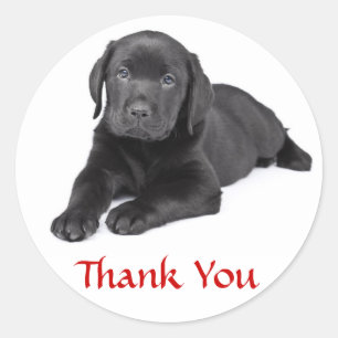 Schwarzer Labrador Retriever Welpe Danke Aufkleber