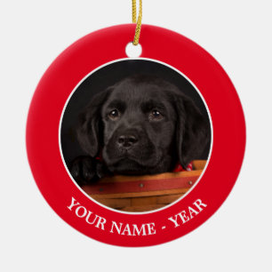 Schwarzer labrador retriever-Welpe in einem Korb Keramikornament