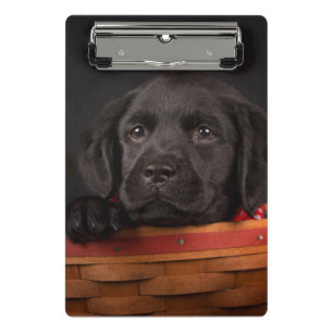 Schwarzer labrador retriever-Welpe in einem Korb Mini Klemmbrett