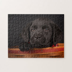 Schwarzer labrador retriever-Welpe in einem Korb Puzzle