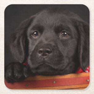 Schwarzer labrador retriever-Welpe in einem Korb Rechteckiger Pappuntersetzer