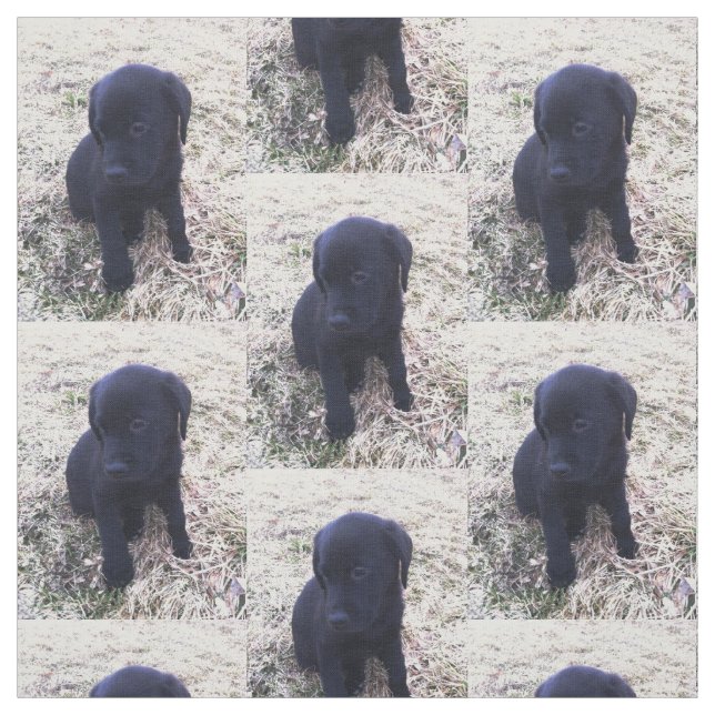 Schwarzer Labrador retriever-Welpe Stoff (Muster)
