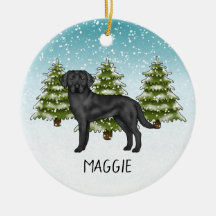 Schwarzer Labrador Retriever Winter Forest Individ
