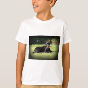 Schwarzer Labrador T-Shirt