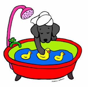 Schwarzer Labrador-u. Gummi-Enten-Cartoon Fotoskulptur Magnet