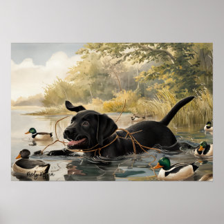 Schwarzer Labrador Welpe, Labrador Jagdposter Poster