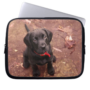 Schwarzer Labrador-Welpe Laptopschutzhülle