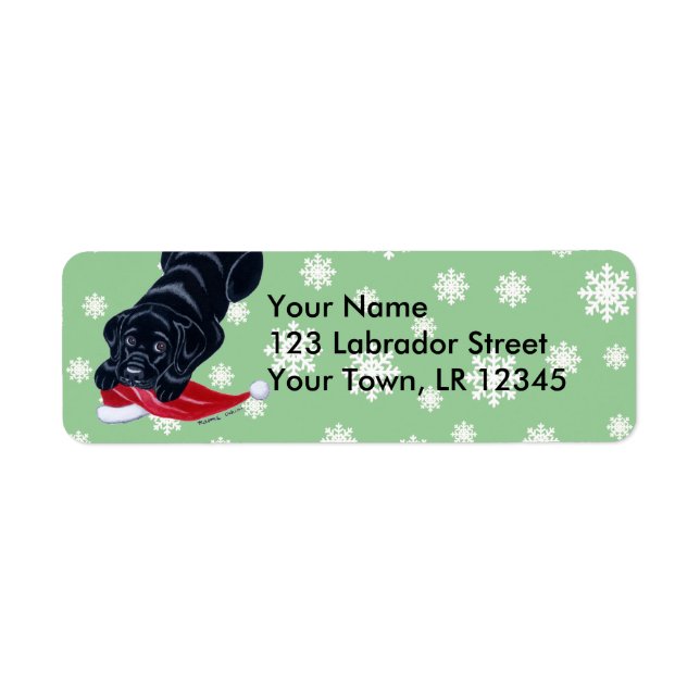 Schwarzer Labrador Welpe mit Weihnachtsmannmütze W (Vorne)