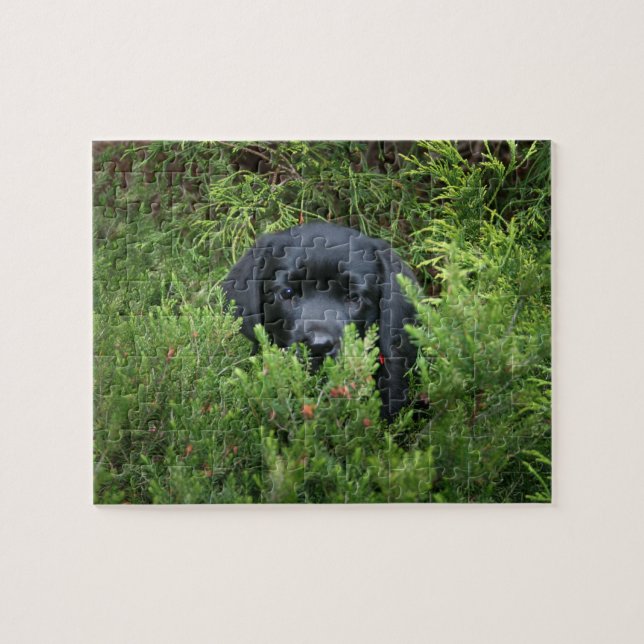 Schwarzer Labrador-Welpe Puzzle (Horizontal)