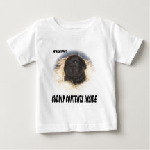 Schwarzer Labrador-Welpen-Cuddly Inhalt