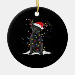 Schwarzer Labrador Xmas Hund Weihnachtsbaum Licht Keramik Ornament
