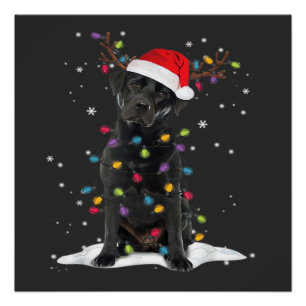Schwarzer Labrador Xmas Hund Weihnachtsbaum Licht Poster