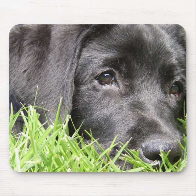 Schwarzer LabradorDaydreamer Mousepad (Vorne)