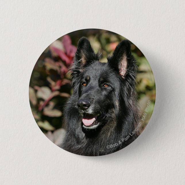 Schwarzer langhaariger Schäferhund Button (Vorderseite)