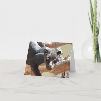 Schwarzer Leopard Karte