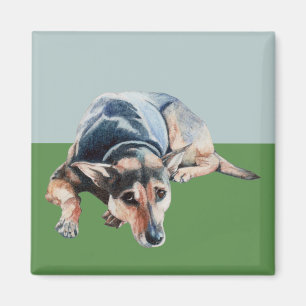 Schwarzer Magnet