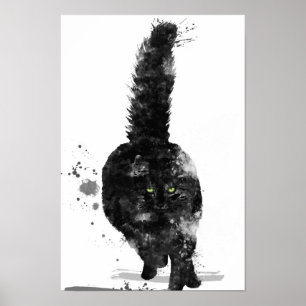 SCHWARZER MAINE-WASCHBÄRCAT - POSTER