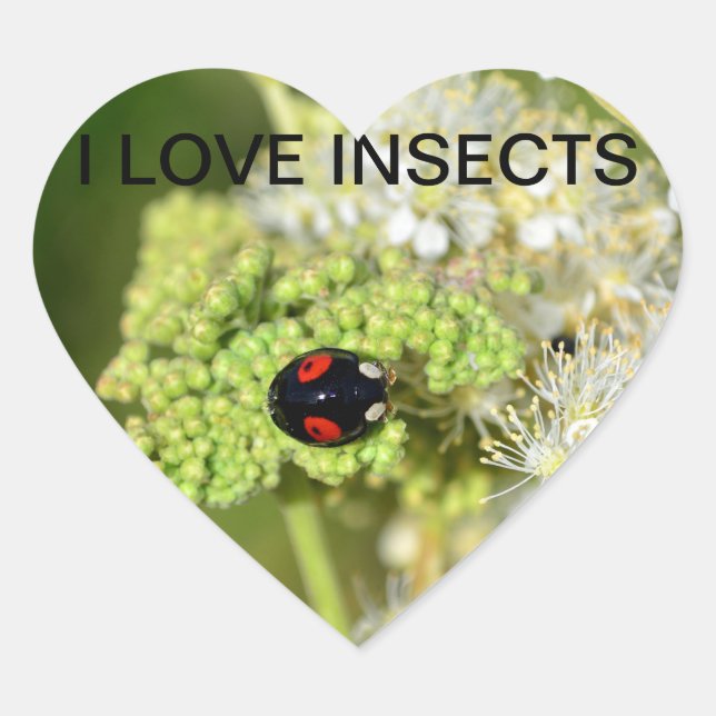 Schwarzer Marienkäfer Herz-Aufkleber (Vorderseite)