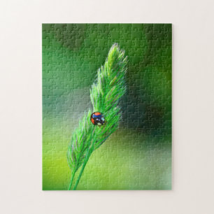 Schwarzer Marienkäfer unterwegs.. Puzzle