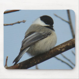Schwarzer mit einer Kappe bedeckter Chickadee B21 Mousepad